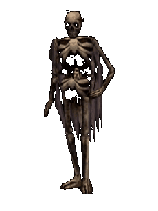 Skeleton King