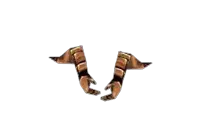 Dragon Gloves Dragon Gloves