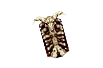 Skull Shield Skull Shield