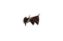 Vine Helm Vine Helm