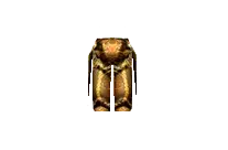 Bronze Pants Bronze Pants